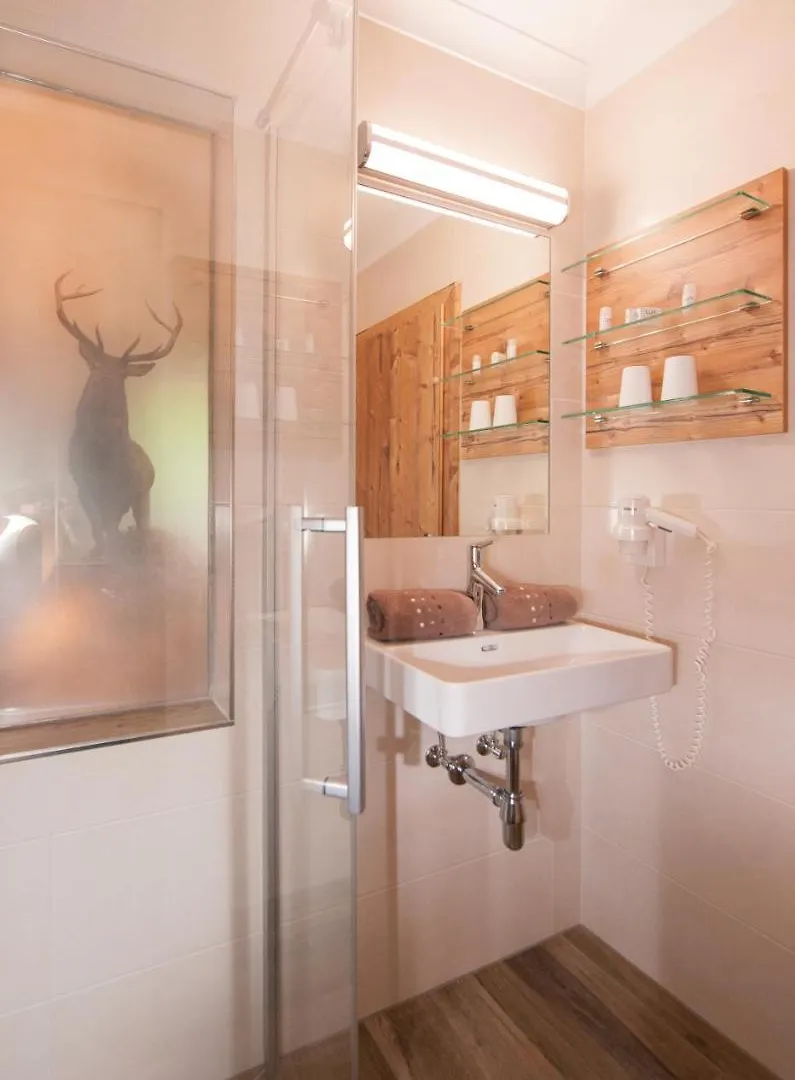 Hotel Birkenhof Saalbach-Hinterglemm 3*,